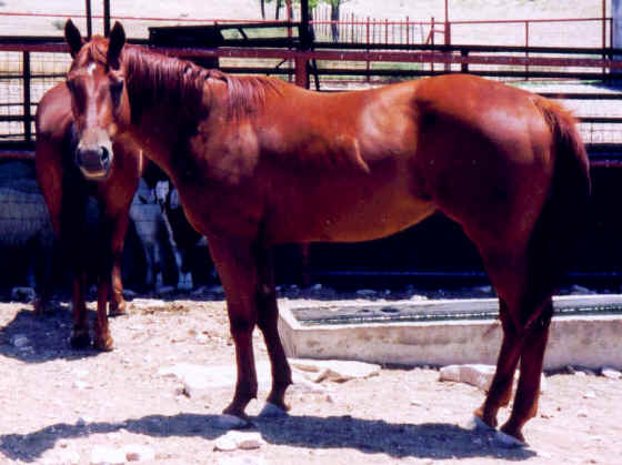 wpe14E.jpg (61628 bytes)