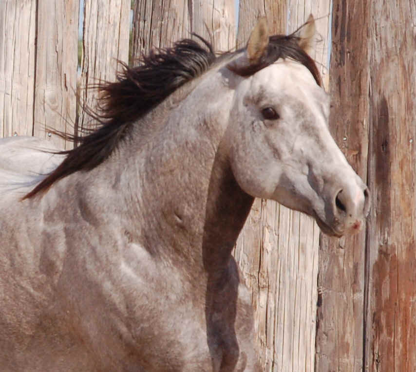 DSC_01510859.JPG (1701404 bytes)
